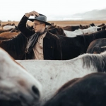 Слот Mustang Gold с символами Дикого Запада и ковбойской тематикой