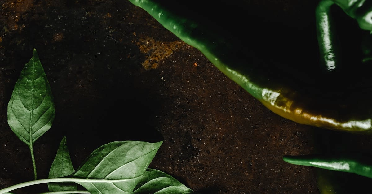 Игровой слот Hot Chilli с яркими визуальными эффектами